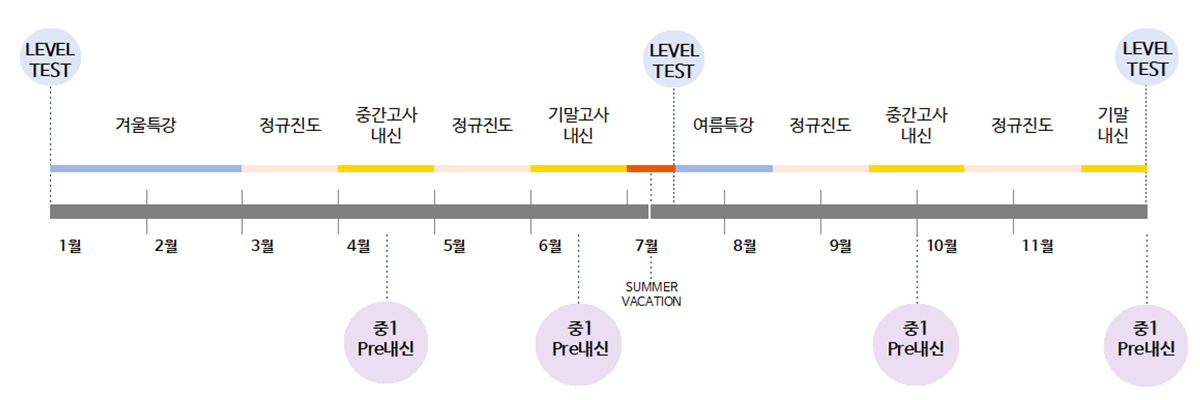 커리큘럼